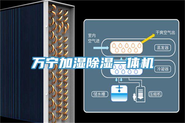 万宁加湿除湿一体机