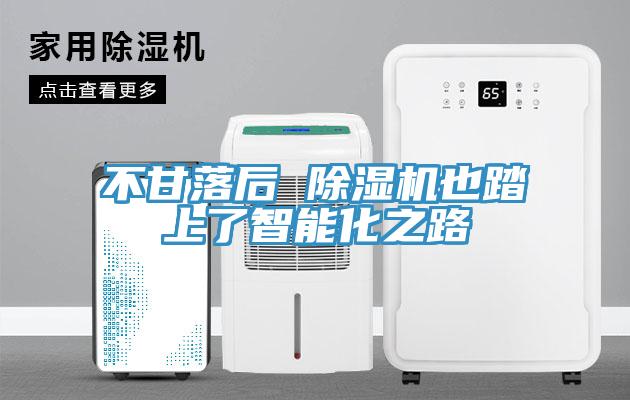 不甘落后 除湿机也踏上了智能化之路