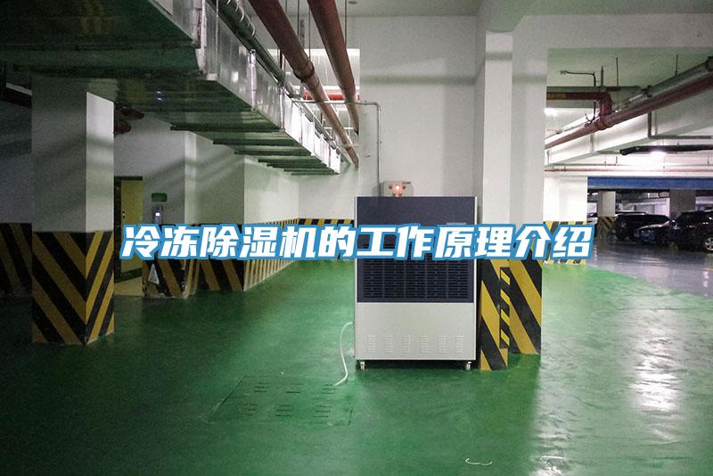 冷冻除湿机的工作原理介绍