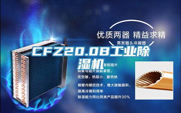 CFZ20.0B工业除湿机