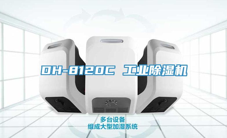 DH-8120C 工业除湿机