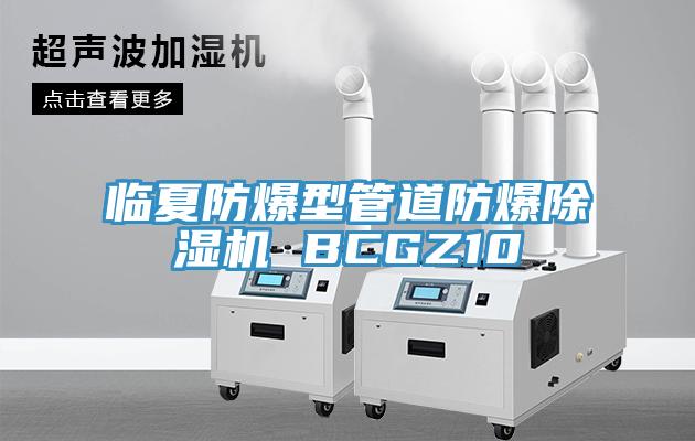 临夏防爆型管道防爆除湿机 BCGZ10