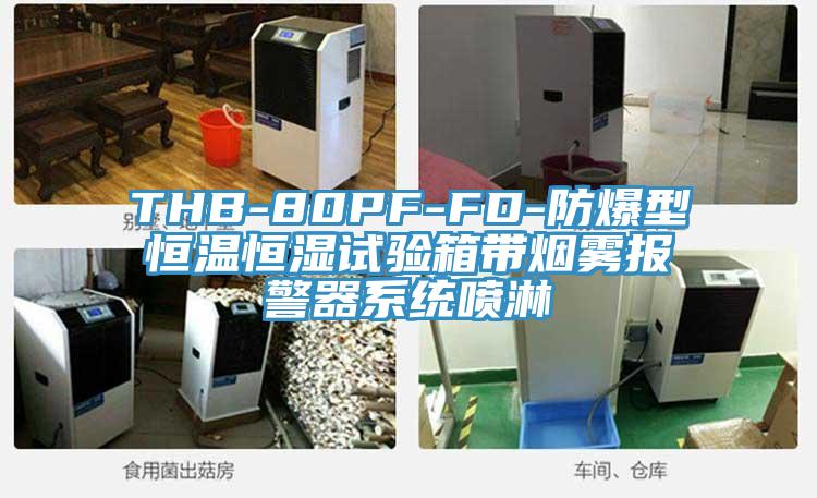 THB-80PF-FD-防爆型恒温恒湿试验箱带烟雾报警器系统喷淋