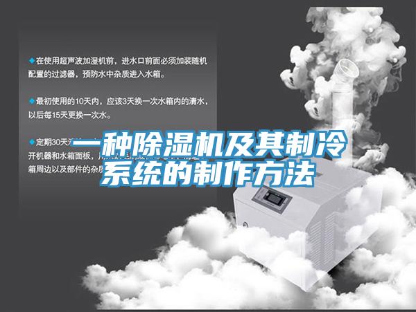一种除湿机及其制冷系统的制作方法
