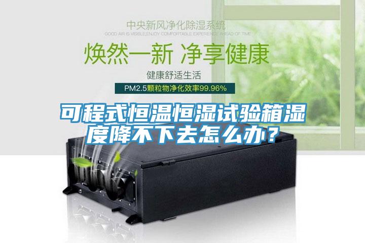 可程式恒温恒湿试验箱湿度降不下去怎么办？
