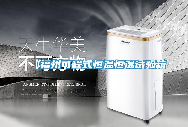 【福州可程式恒温恒湿试验箱
