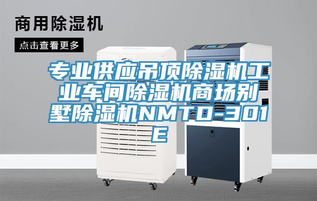 专业供应吊顶除湿机工业车间除湿机商场别墅除湿机NMTD-301E