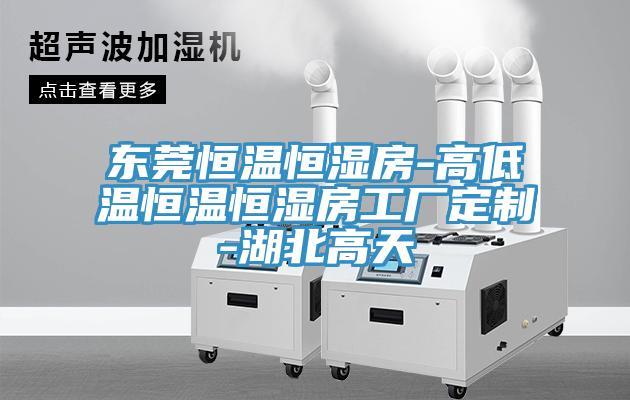 东莞恒温恒湿房-高低温恒温恒湿房工厂定制-湖北高天