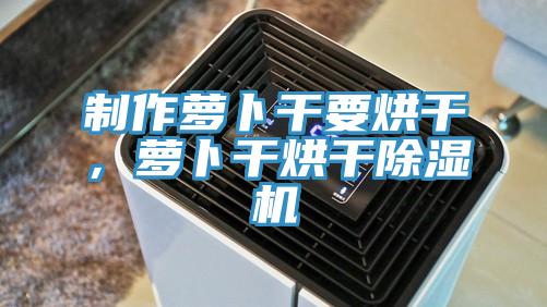 制作萝卜干要烘干，萝卜干烘干除湿机