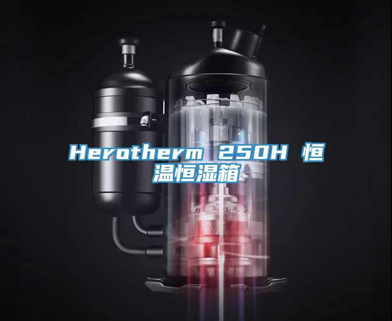 Herotherm 250H 恒温恒湿箱