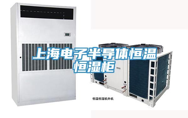 上海电子半导体恒温恒湿柜