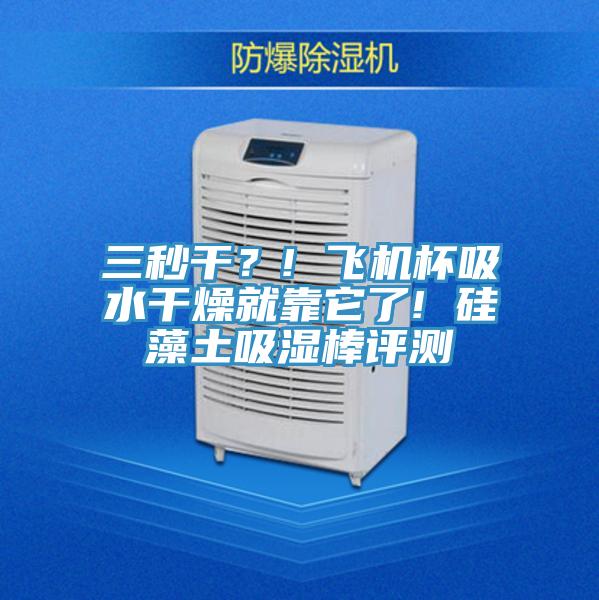 三秒干？! 飞机杯吸水干燥就靠它了! 硅藻土吸湿棒评测