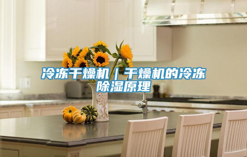 冷冻干燥机｜干燥机的冷冻除湿原理