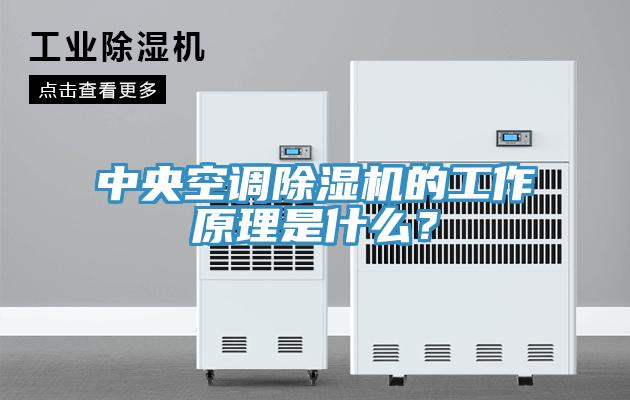 中央空调除湿机的工作原理是什么？