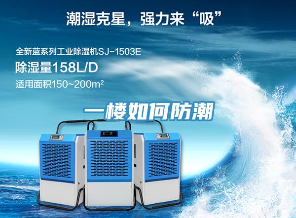 一楼如何防潮