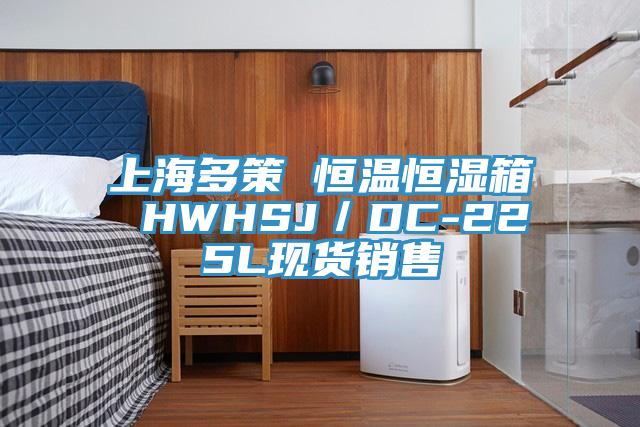 上海多策 恒温恒湿箱 HWHSJ／DC-225L现货销售