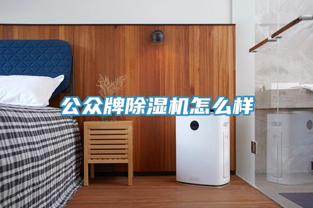 公众牌除湿机怎么样