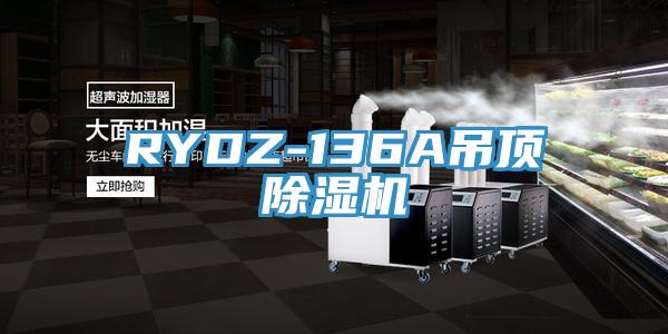 RYDZ-136A吊顶除湿机