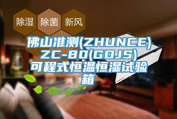 佛山准测(ZHUNCE) ZC-80(GDJS) 可程式恒温恒湿试验箱