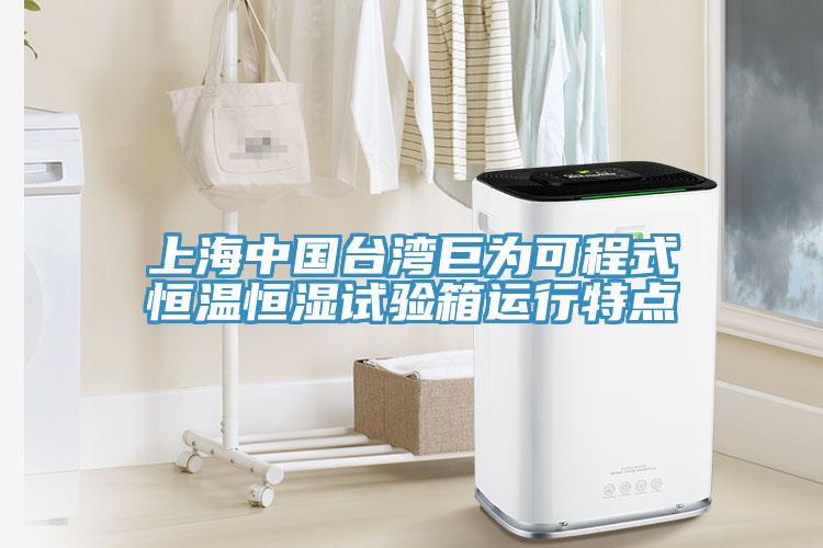 上海中国台湾巨为可程式恒温恒湿试验箱运行特点