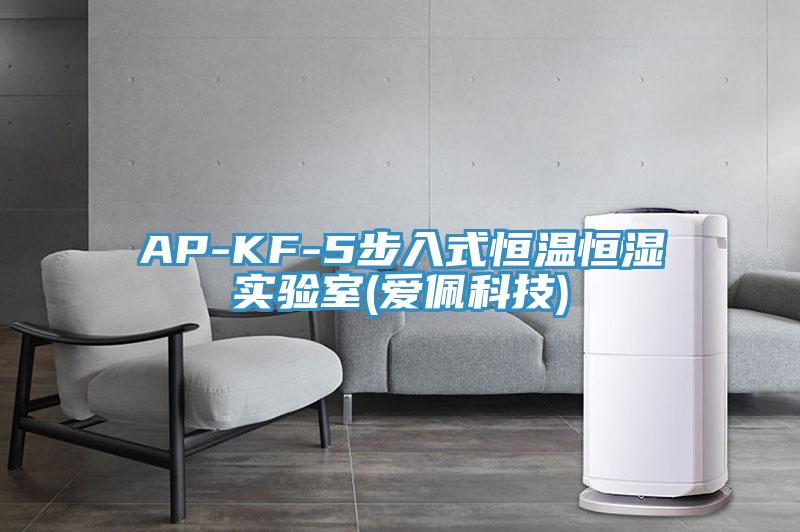 AP-KF-5步入式恒温恒湿实验室(爱佩科技)