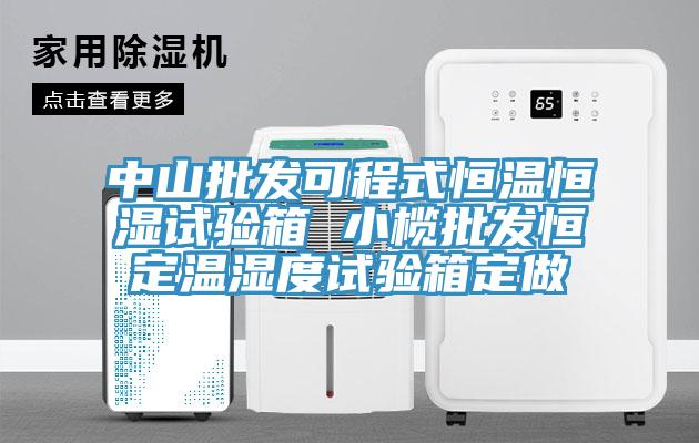 中山批发可程式恒温恒湿试验箱 小榄批发恒定温湿度试验箱定做