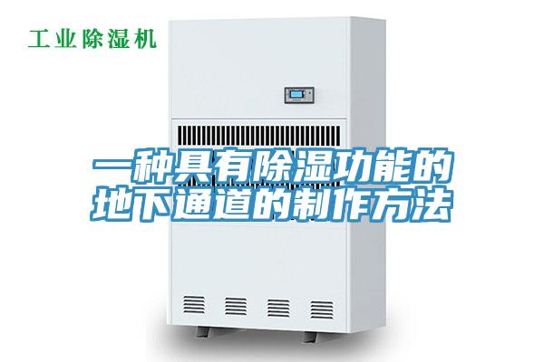 一种具有除湿功能的地下通道的制作方法