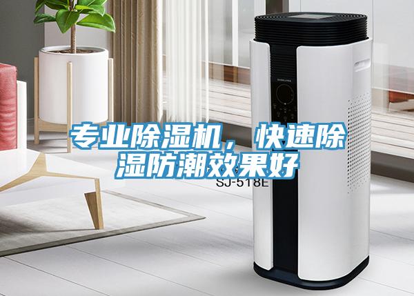 专业除湿机，快速除湿防潮效果好