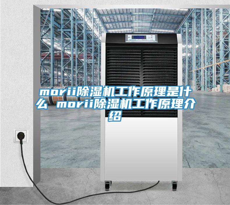 morii除湿机工作原理是什么 morii除湿机工作原理介绍
