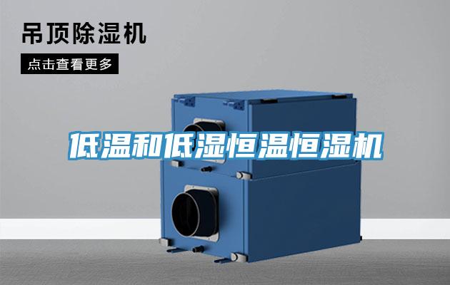低温和低湿恒温恒湿机