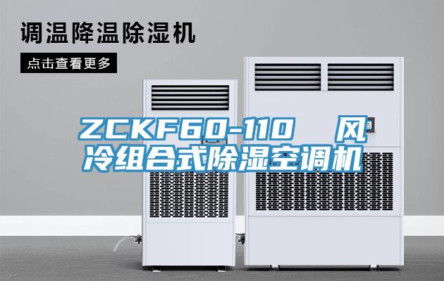 ZCKF60-110  风冷组合式除湿空调机