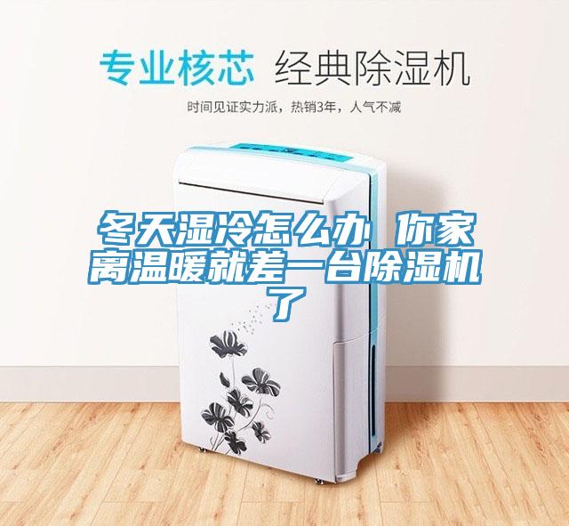 冬天湿冷怎么办 你家离温暖就差一台除湿机了