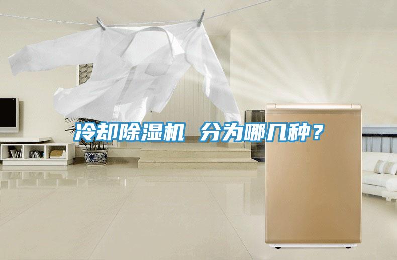 冷却除湿机 分为哪几种？