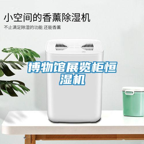 博物馆展览柜恒湿机