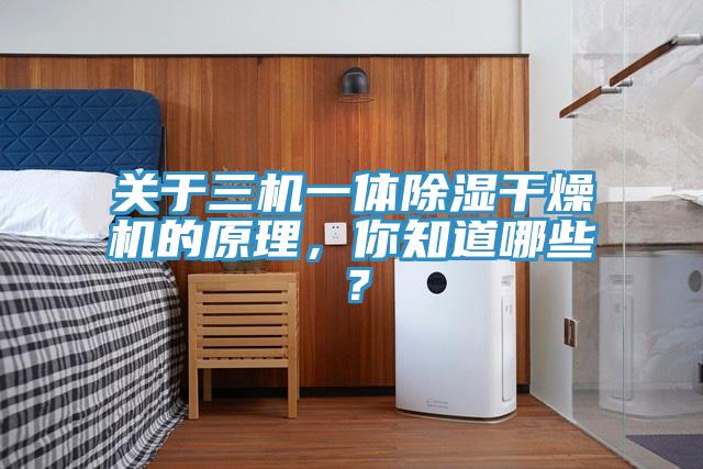 关于三机一体除湿干燥机的原理，你知道哪些？