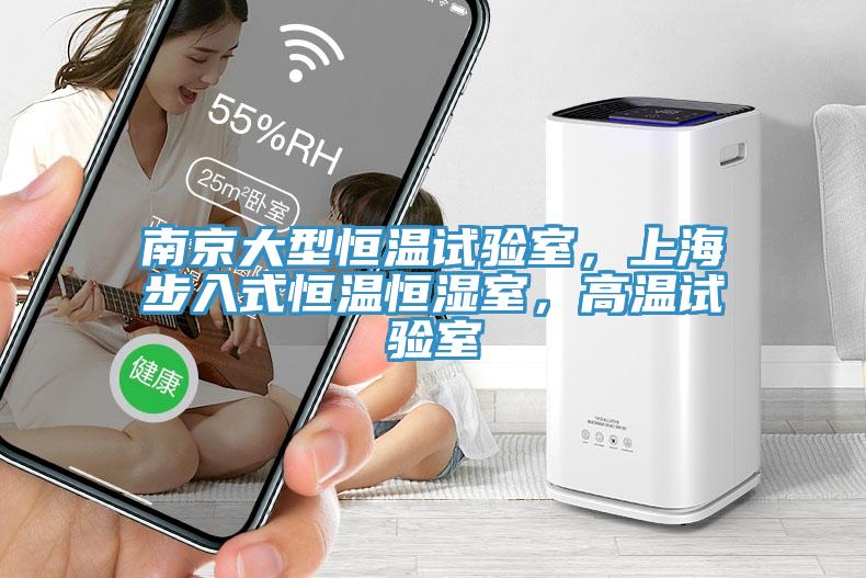 南京大型恒温试验室，上海步入式恒温恒湿室，高温试验室