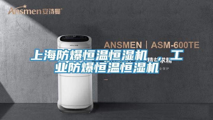 上海防爆恒温恒湿机 ，工业防爆恒温恒湿机