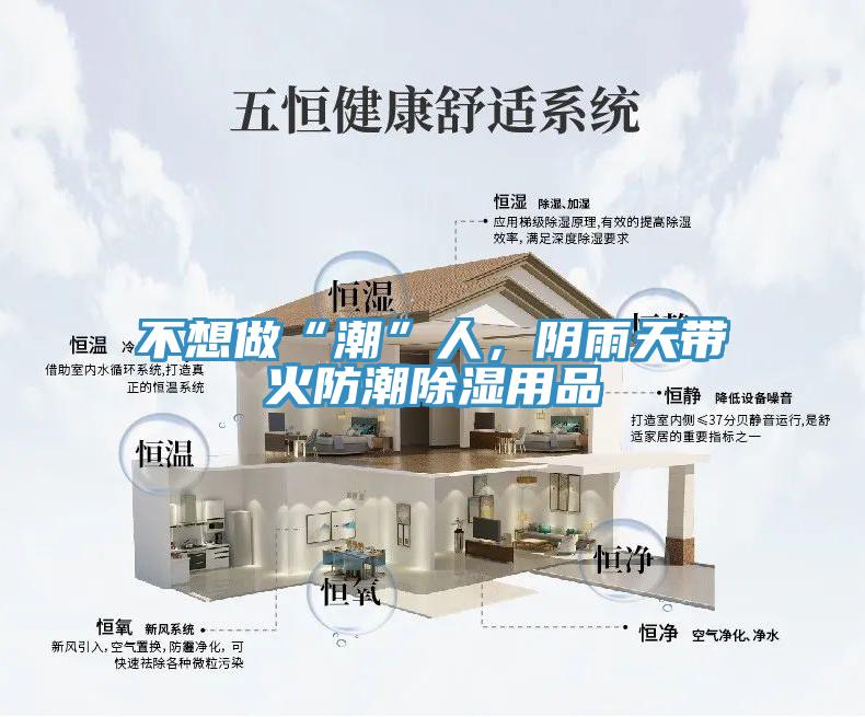 不想做“潮”人，阴雨天带火防潮除湿用品