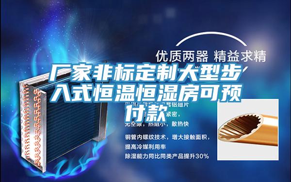 厂家非标定制大型步入式恒温恒湿房可预付款