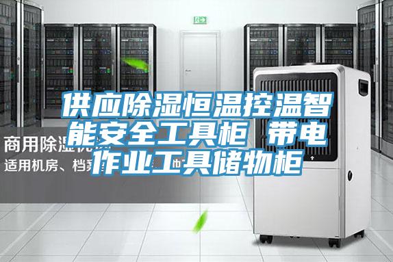 供应除湿恒温控温智能安全工具柜 带电作业工具储物柜