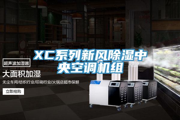 XC系列新风除湿中央空调机组