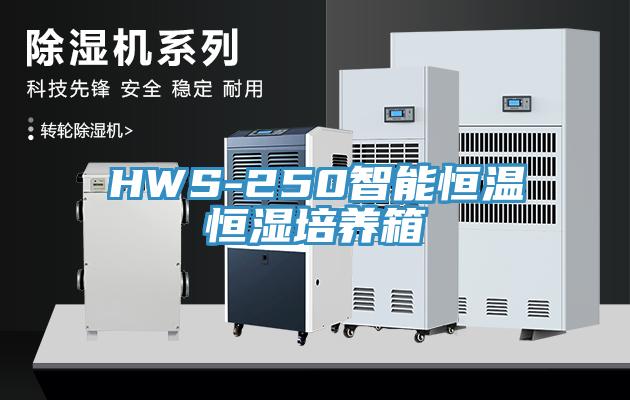 HWS-250智能恒温恒湿培养箱