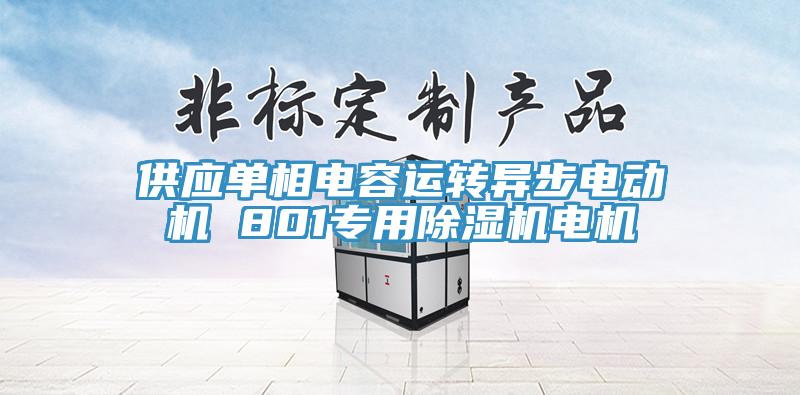 供应单相电容运转异步电动机 801专用除湿机电机