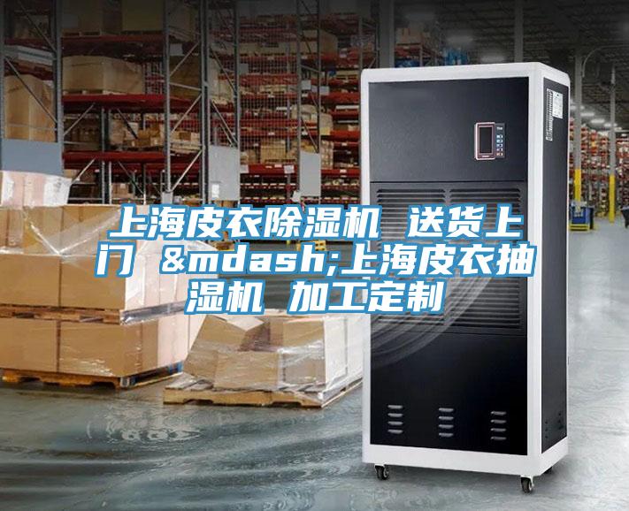 上海皮衣除湿机 送货上门 —上海皮衣抽湿机 加工定制