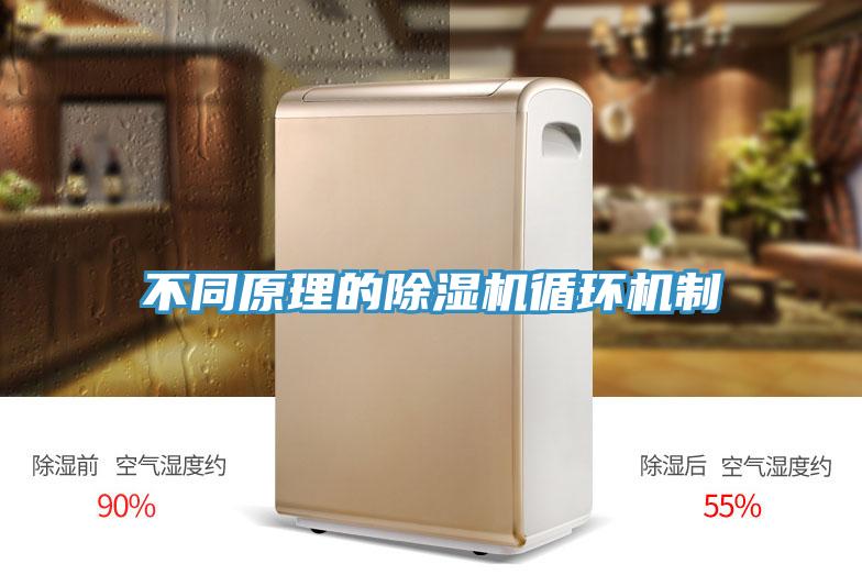 不同原理的除湿机循环机制