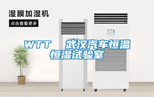 WTT  武汉汽车恒温恒湿试验室