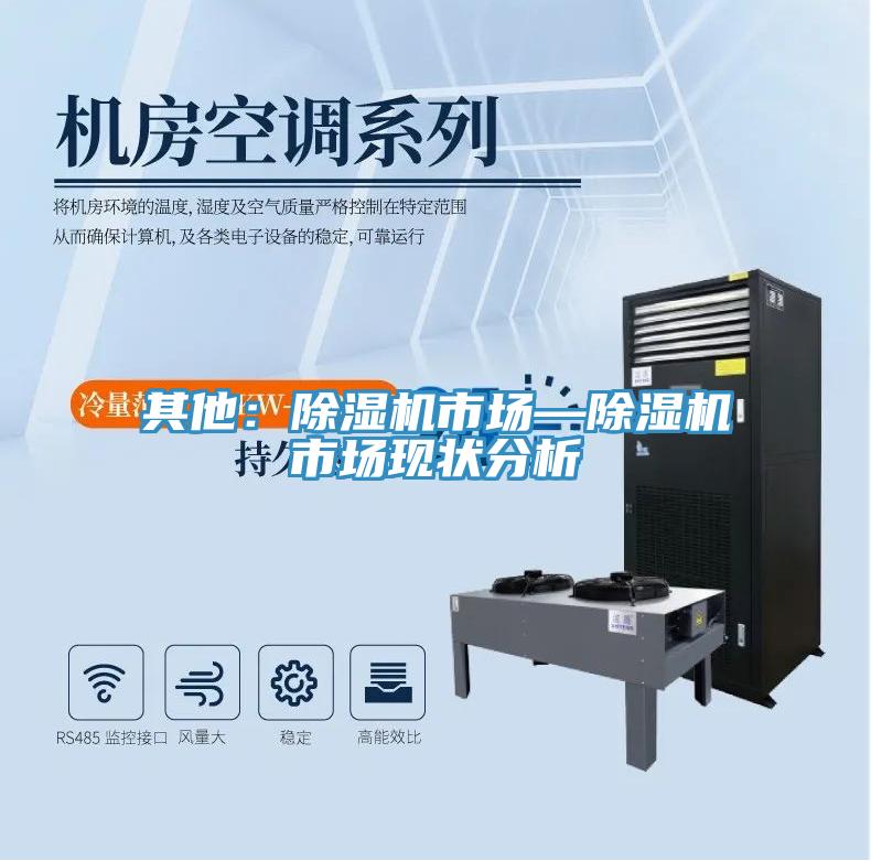 其他：除湿机市场—除湿机市场现状分析