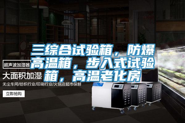 三综合试验箱，防爆高温箱，步入式试验箱，高温老化房