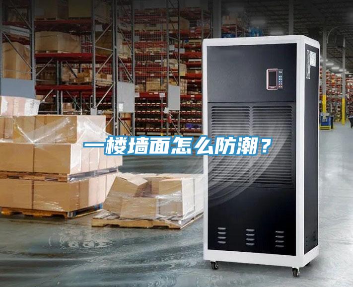 一楼墙面怎么防潮？