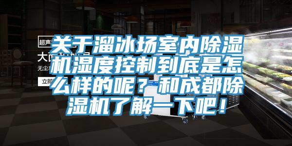 关于溜冰场室内除湿机湿度控制到底是怎么样的呢？和成都除湿机了解一下吧！